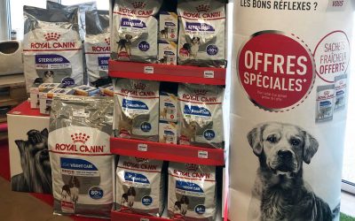 Royal Canin est chez Animoland