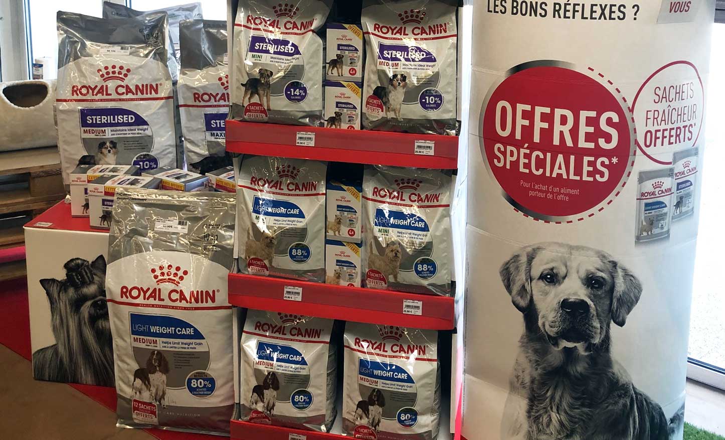 Offres spéciales Royal Canin chez Zooland Claira