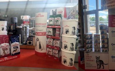 Royal Canin – Offres spéciales départ en vacances