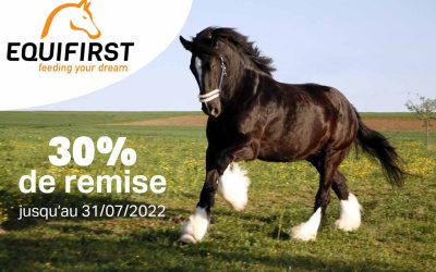 Nouveauté ! Découvrez EquiFirst pour les chevaux