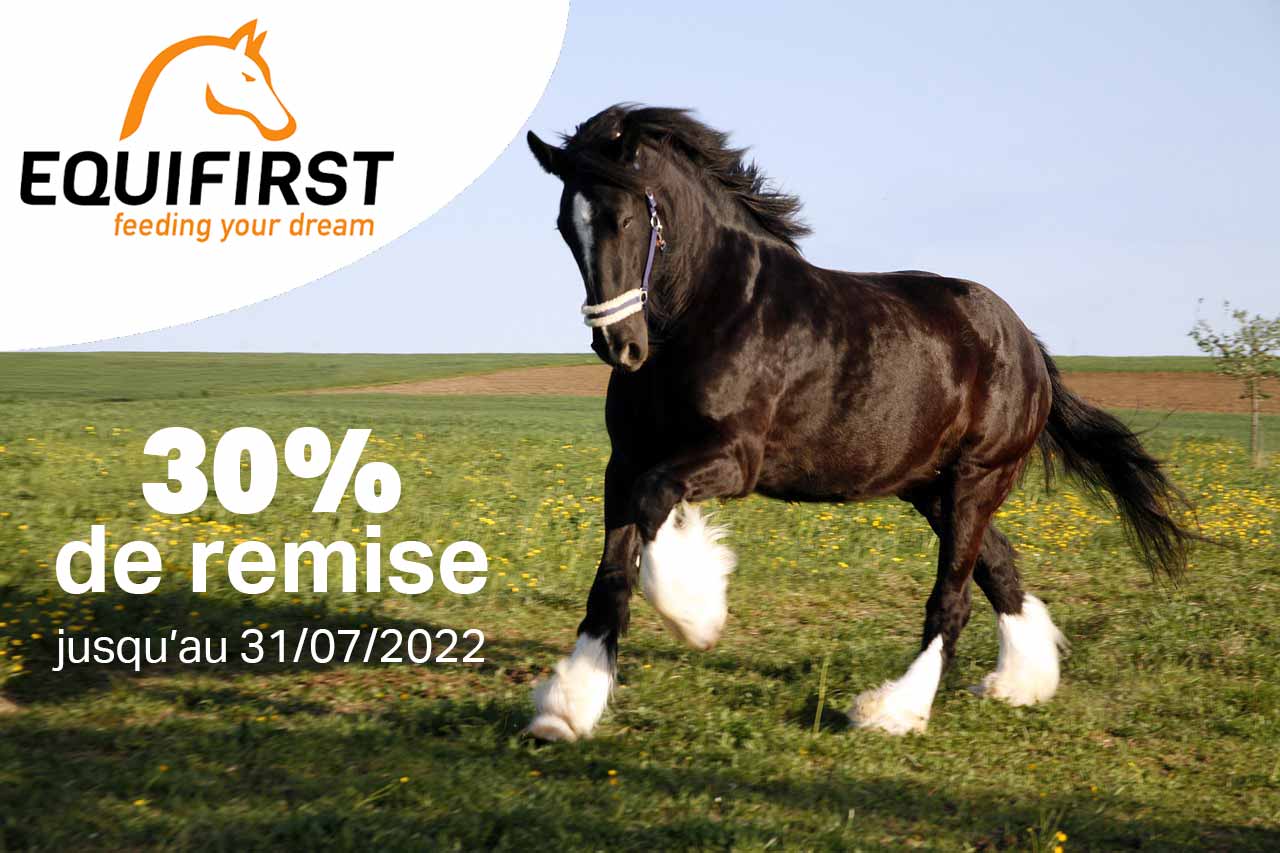 Promo EquiFirst
