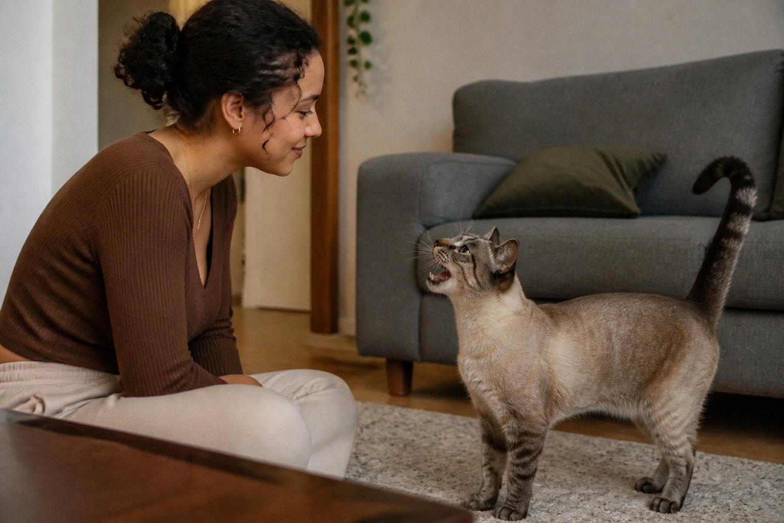 Le caractère unique d'un compagnon intelligent et bavard